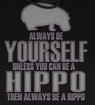 Always Be Yourself Hippo Black Adult Hoodie - Soft & Comfortable Pullover Sweatshirt for Men & Women | Perfect for Casual Wear, Gym, and Outdoor Activities