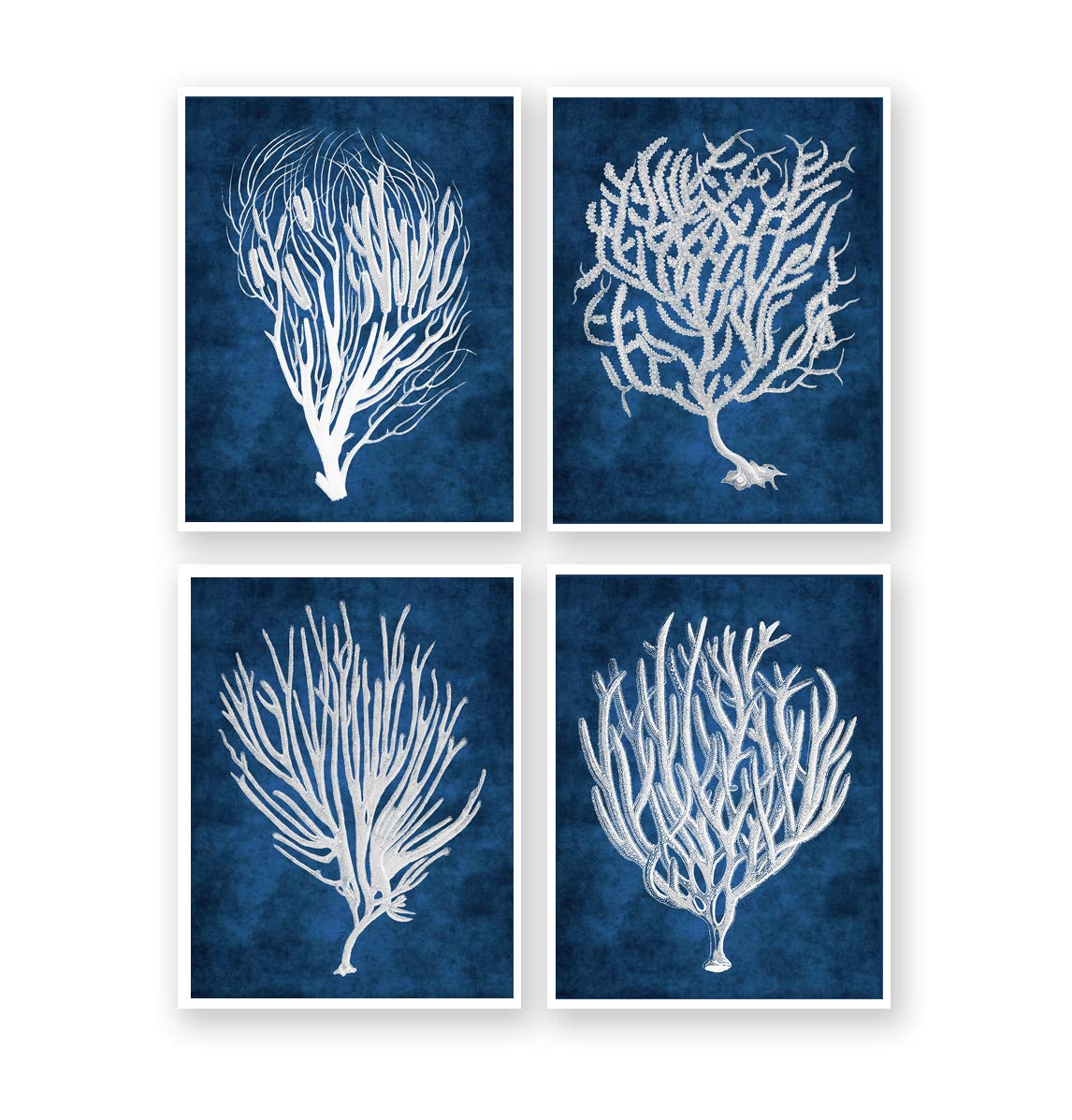 Gnosis Picture Archive Navy Blue Beach Sea Corals & Sea Fan Wall Art - Set of 4 Unframed Ocean Prints for Coastal Decor, Living Room, Bedroom, or Office