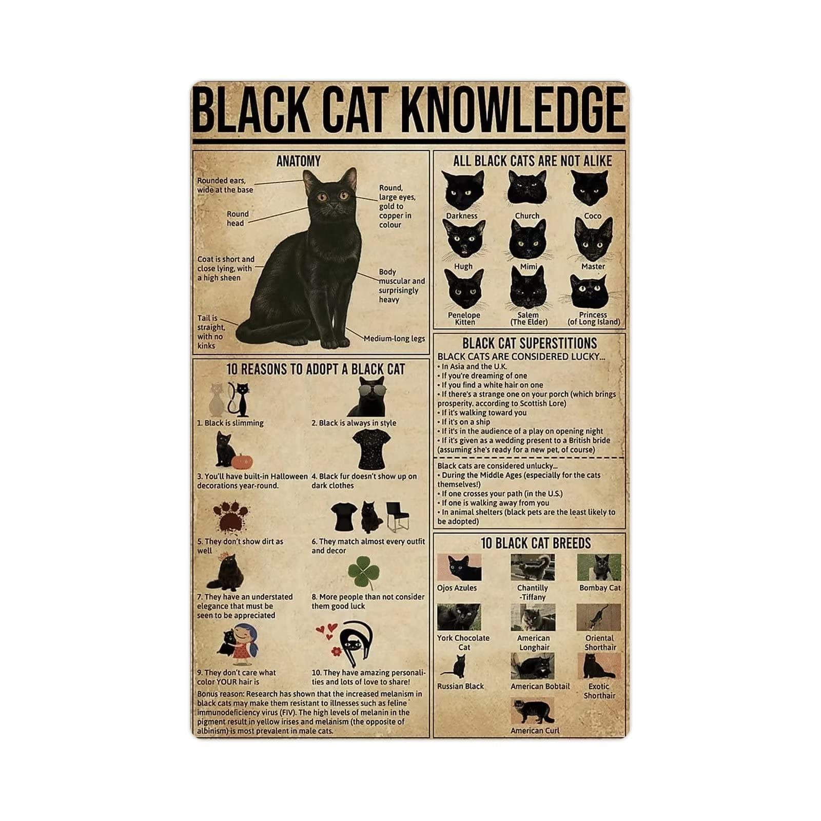 Black Cat Knowledge Metal Tin Sign - Vintage Retro Cat Infographic Poster - Cat Encyclopedia Plaque - 8x12 Inch Wall Decor for Home, Office, Cat Room & Pet House - Perfect for Cat Lovers & Halloween Decorations