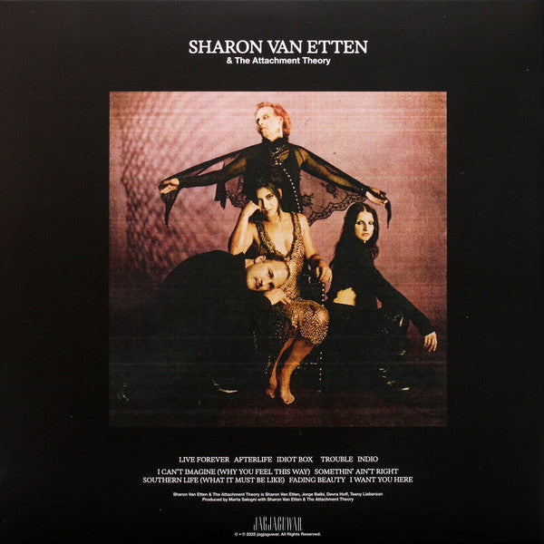 Sharon Van Etten & The Attachment Theory Vinyl LP Album (Limited Edition, Mint Condition) - Perfect for Record Collectors & Indie Music Lovers