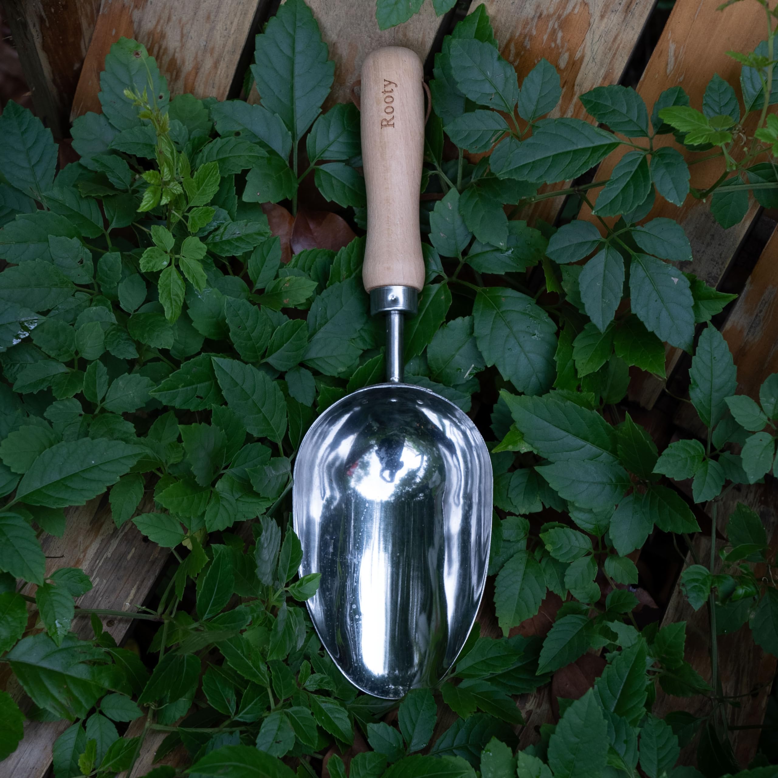 Stainless Steel Rooty Gardening Soil Scoop with Wooden Handle - Perfect for Transplanting, Digging & Planting | Essential Gardening Tools & Accessories | Ideal for Gardeners & DIY Planting Gifts | Great for Indoor Potted Plants, Outdoor Flower Beds & Vegetable Gardens