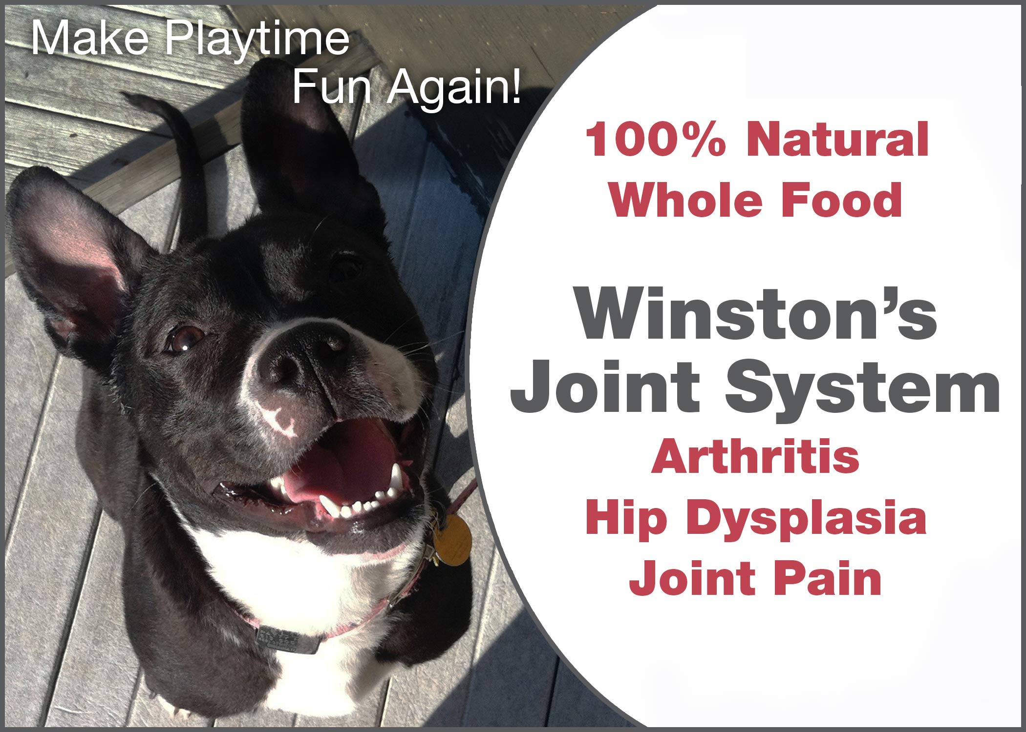 **Joint System for Medium Dogs (40-99 lbs) - 100% Natural Whole Food Supplement for Arthritis, Hip Dysplasia & Joint Pain Relief - 1 Month Supply - Since 1992 - Supports Mobility & Comfort for Active Pets**