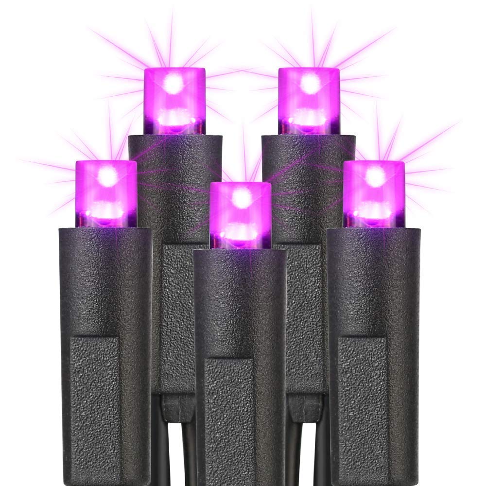 Brizled 2 Pack 60 LED Purple Halloween Fairy Lights + 100 LED 5MM Purple String Lights - Indoor Halloween Decorations for Party, Home, Yard & Outdoor Decor