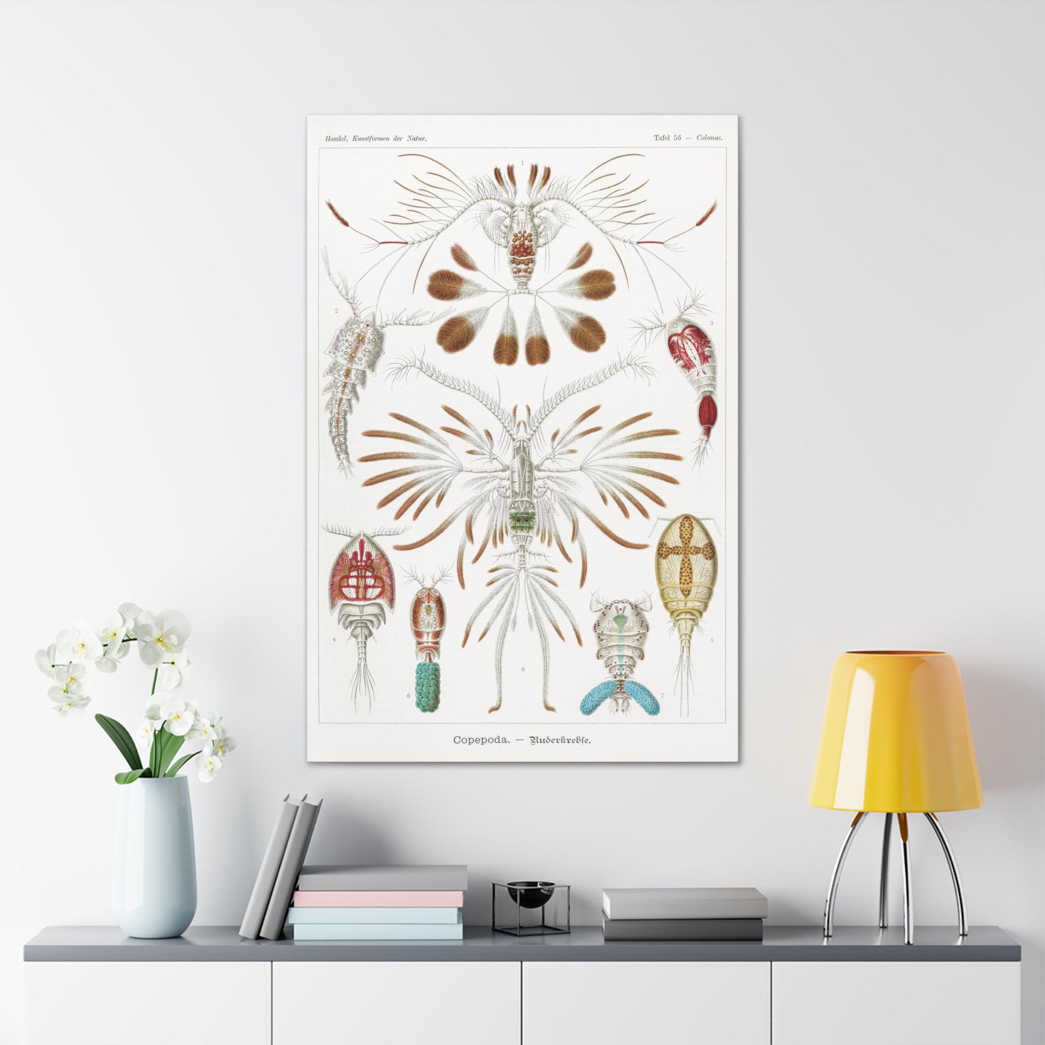 Copepoda Ruderkrebse by Ernst Haeckel - Premium Canvas Art Print for Home & Office Decor | Marine Biology Wall Art | Scientific Illustration Gift