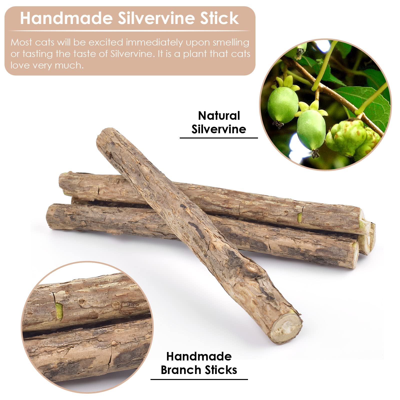 10 PCS Silvervine Cat Chew Sticks with Catnip - Natural Dental Care Toys for Indoor Kittens, Teeth Grinding & Interactive Play - Perfect for Aggressive Chewers & Feather Toy Lovers (Great for Stress Relief & Playtime)