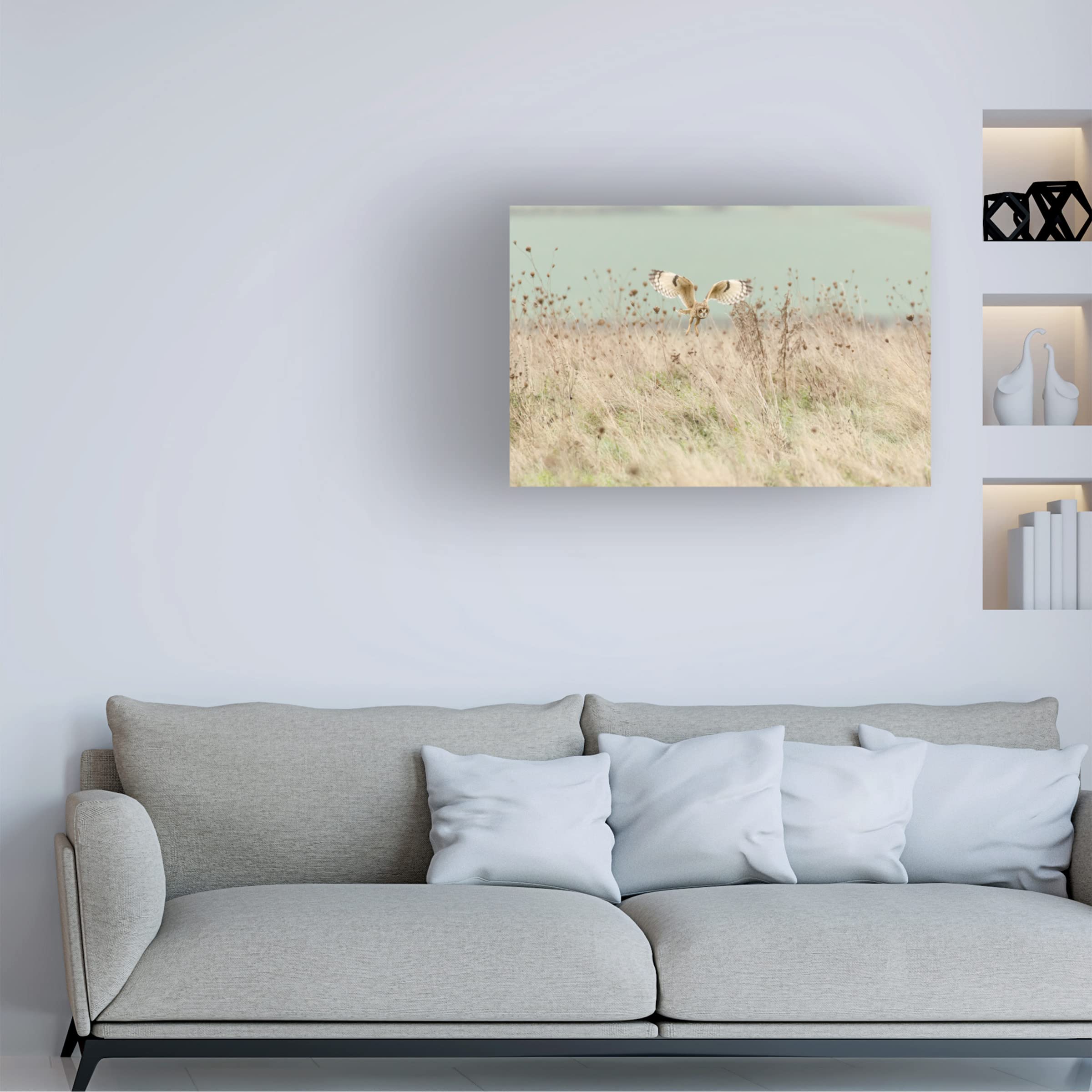 Trademark Fine Art 'Hunting Short Eared Owl' Canvas Wall Art Print by Prashant Meswani - Nature Wildlife Decor for Living Room, Bedroom & Office