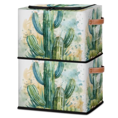 Desert Plant Cactus