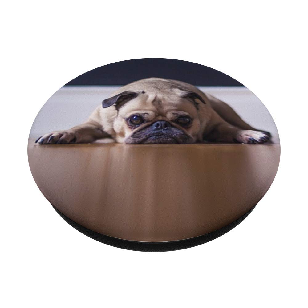Pug Chillin Phone Stand & Holder - Cute Dog Gifts for Phone Lovers | Perfect for Desk, Office, Home Decor & Gifts