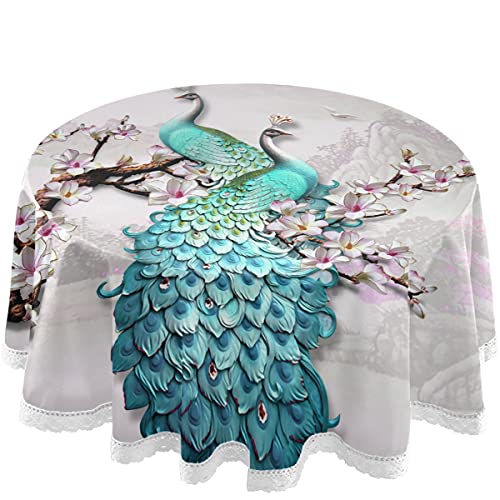 Peacock 14