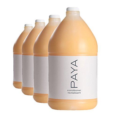 PAYA Deep Conditioning Treatment (4 Gallons/Case) - Professional Salon-Grade Hair Conditioner for Dry, Damaged Hair - Perfect for Salons, Spas & Home Hair Care Routines