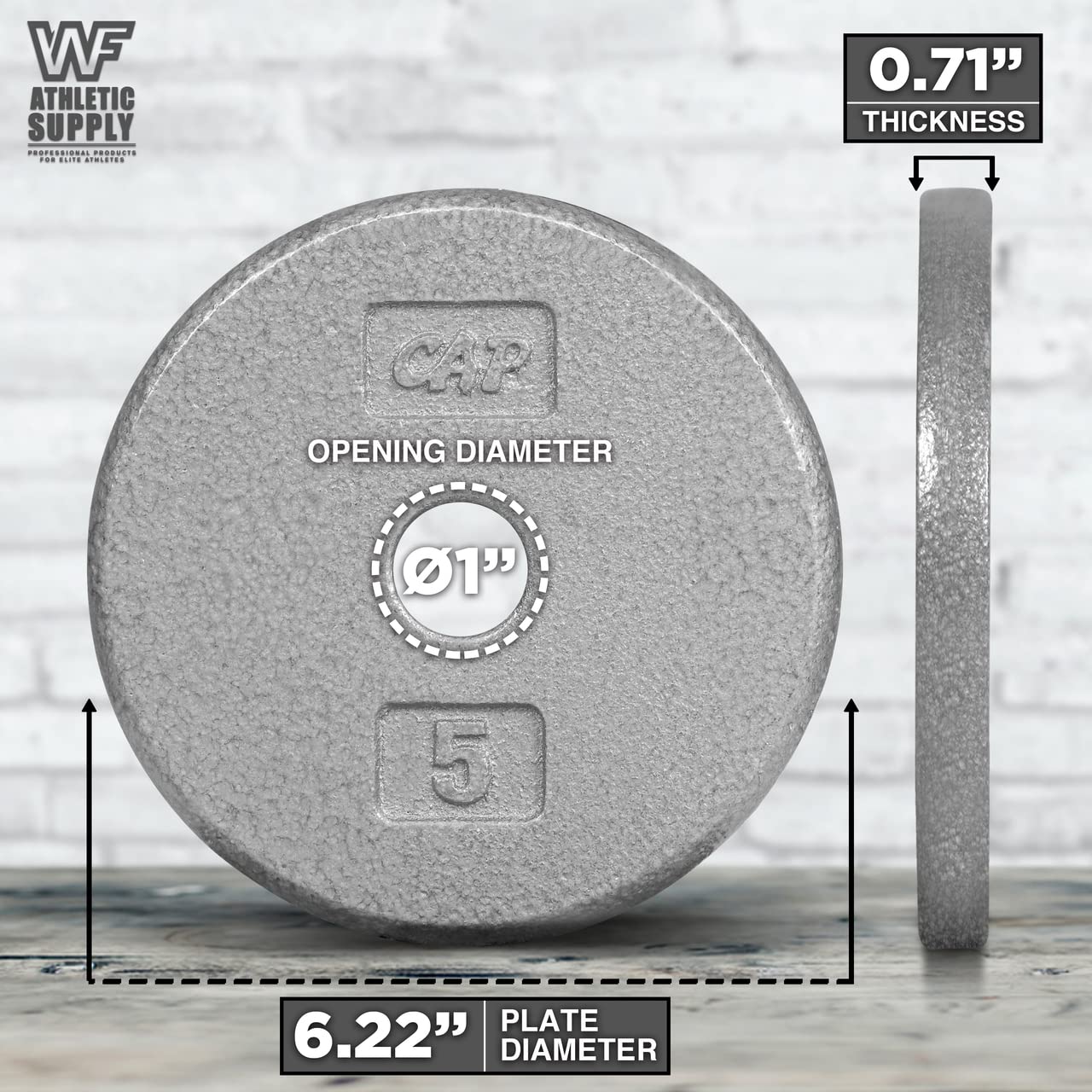 CAPHAUS Grey Standard Solid Cast Iron Weight Plates - 1-inch Center Hole for Barbell & Dumbbell - 1.25LB to 50LB Options - Perfect for Home Gym, Strength Training & CrossFit Workouts