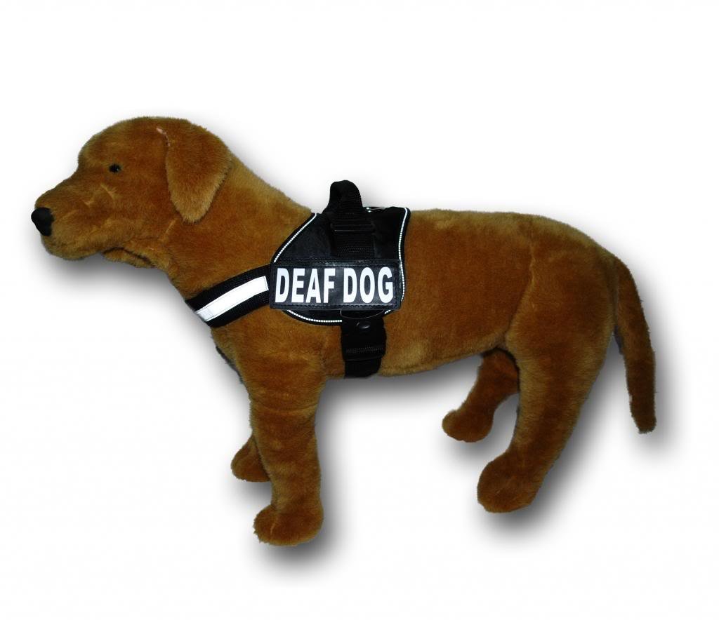 Deaf Dog Nylon Vest Harness with 2 Reflective Removable Patches - Adjustable Dog Harness for Hearing Impaired Pets - Perfect for Training, Walks & Safety Visibility