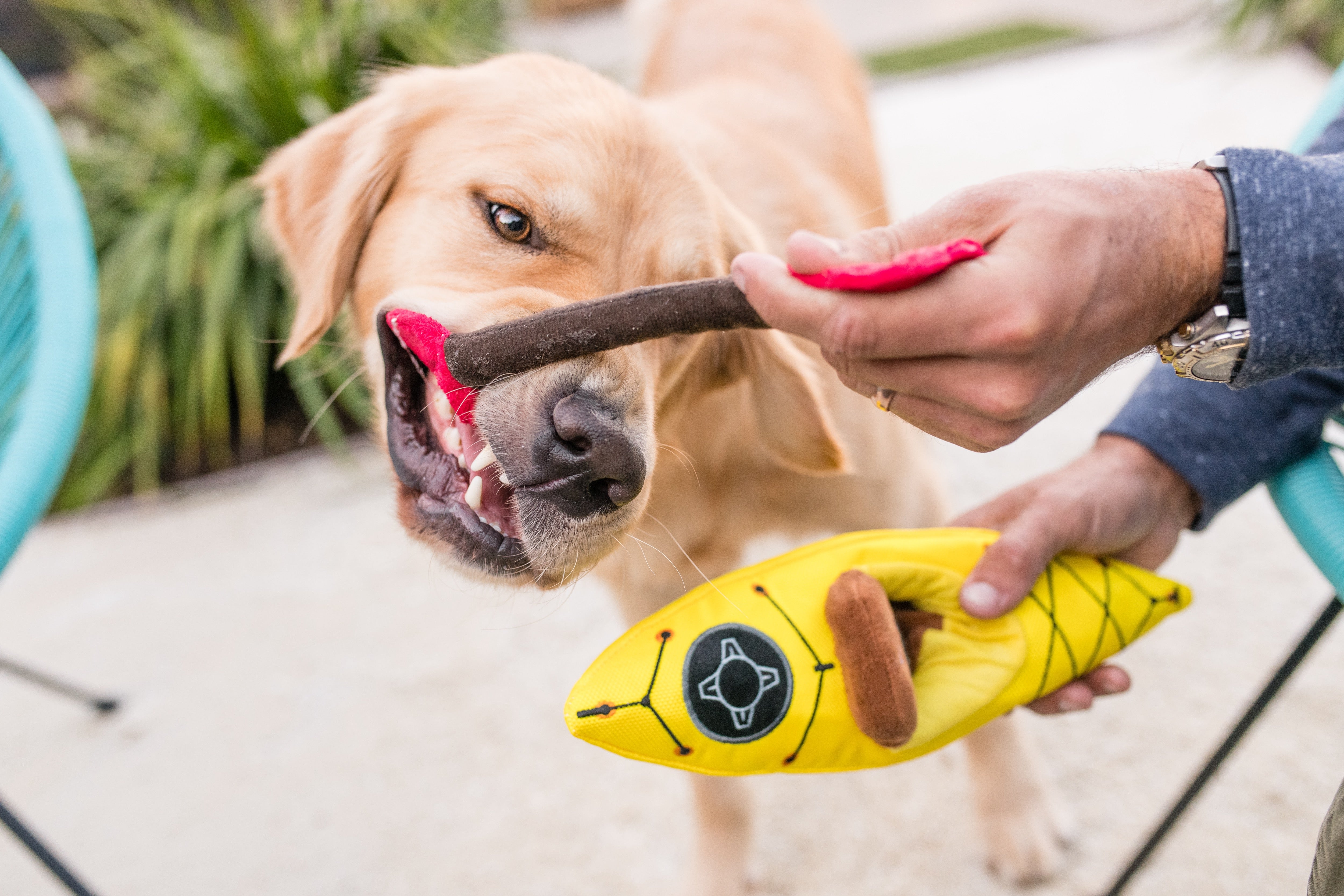 El Kayak Dog Toy - Camp Corbin™ Plush Chew Toy for Dogs | Durable & Soft Pet P.L.A.Y. Dog Chew Toy for Indoor & Outdoor Play, Fetch, and Cuddling