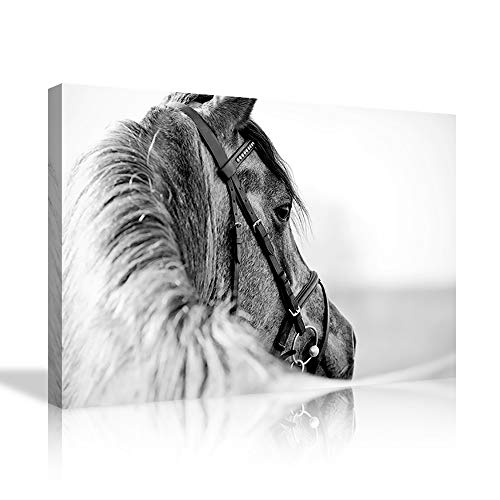 Animal wall art 11