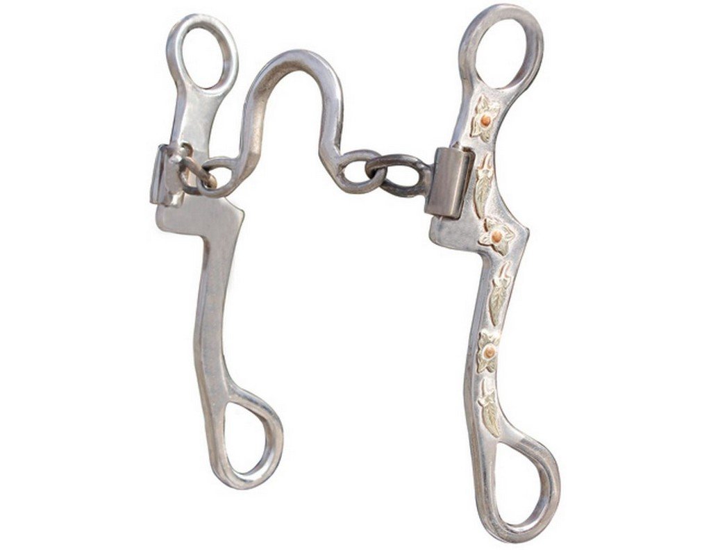 Professional's Choice Bob Avila Ported Chain Byron Shank Bit - Western Horse Training Bit for Performance & Control - Ideal for Reining, Cutting & Ranch Work
