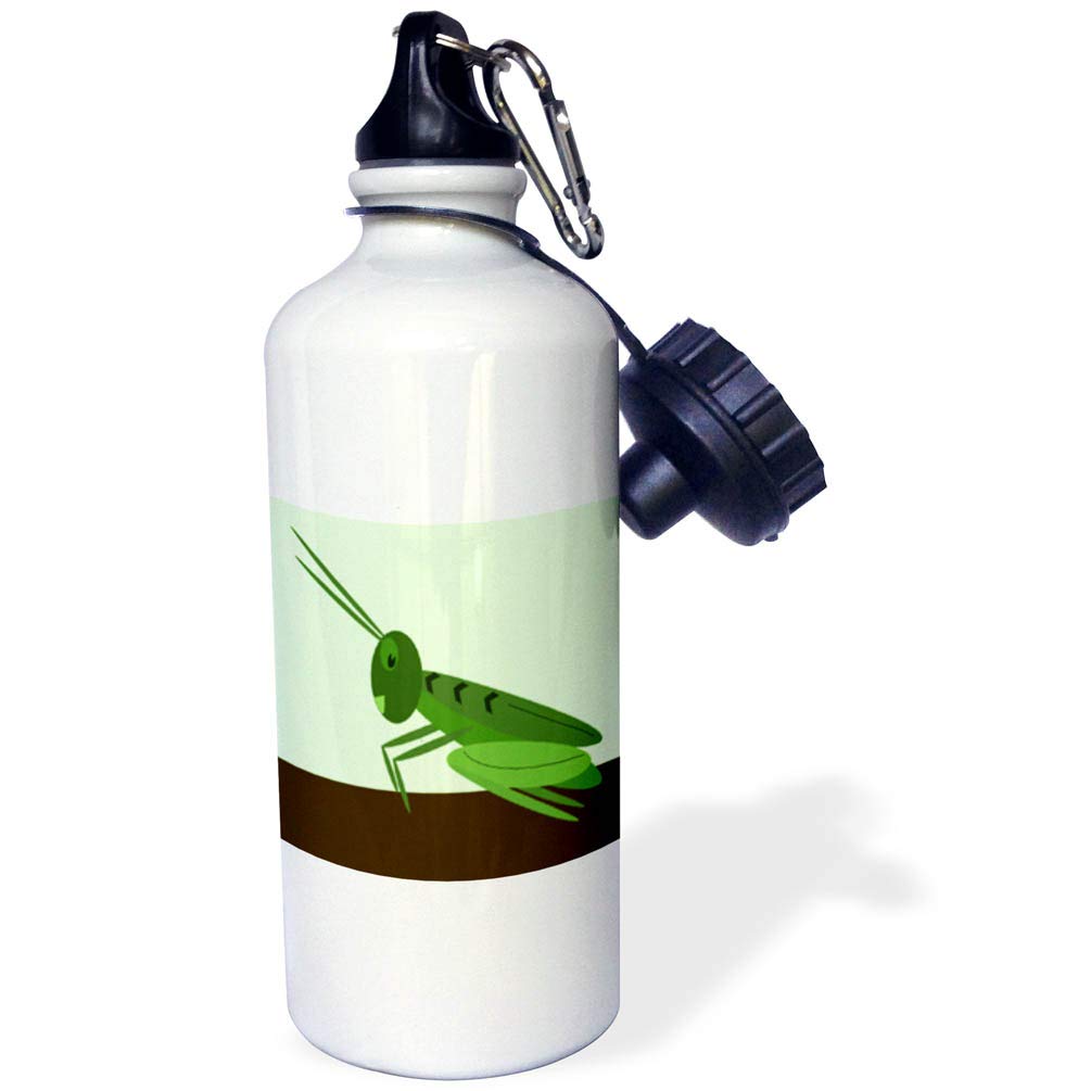 3D Rose Adorable Grasshopper on Green Sports Water Bottle - 21oz Insulated Stainless Steel Water Bottle with Leakproof Lid - Perfect for Gym, Hiking, Camping & Outdoor Activities