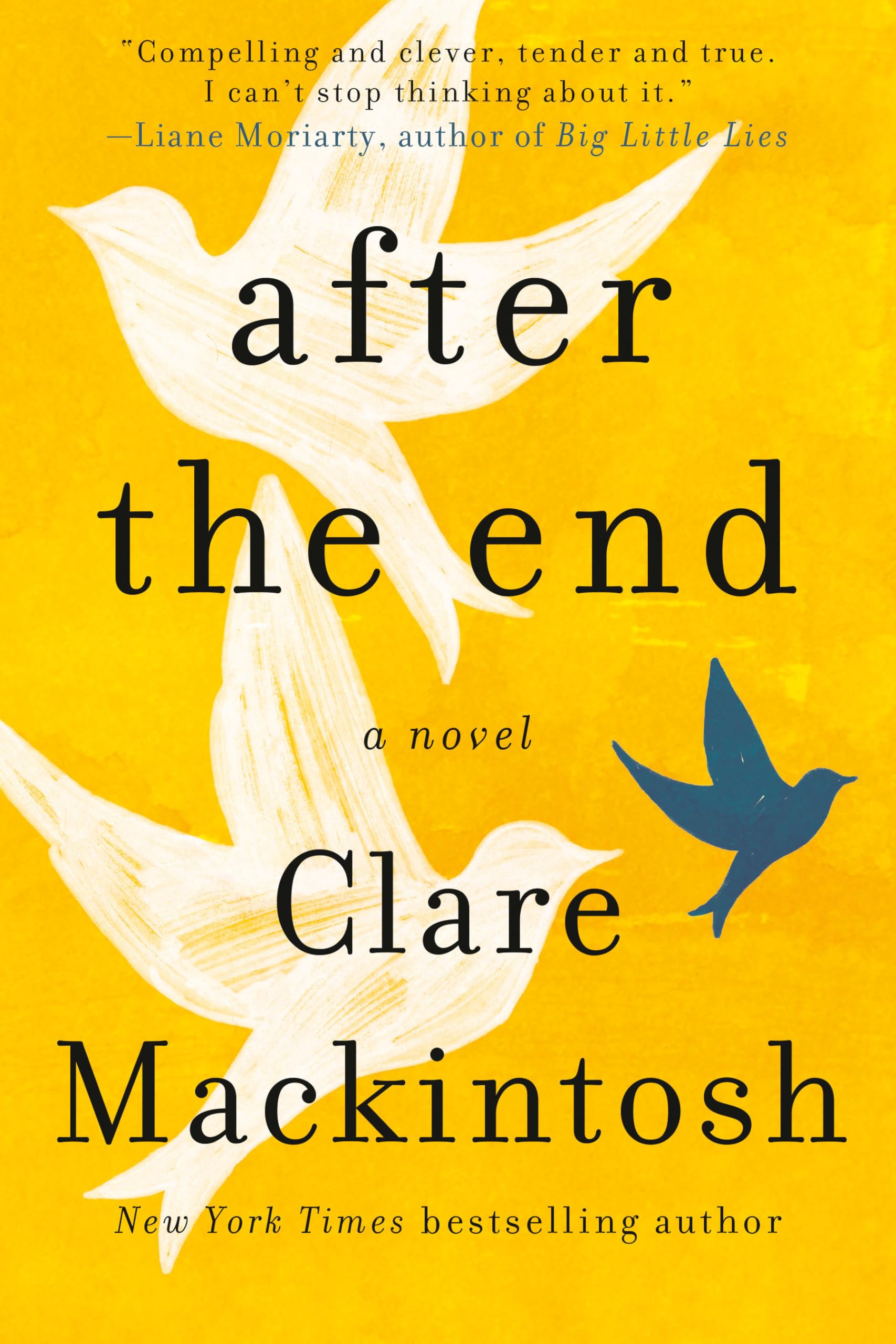 After the End - Post-Apocalyptic Survival Novel | Dystopian Fiction Book for Adults | Perfect for Book Clubs & Apocalypse Genre Fans