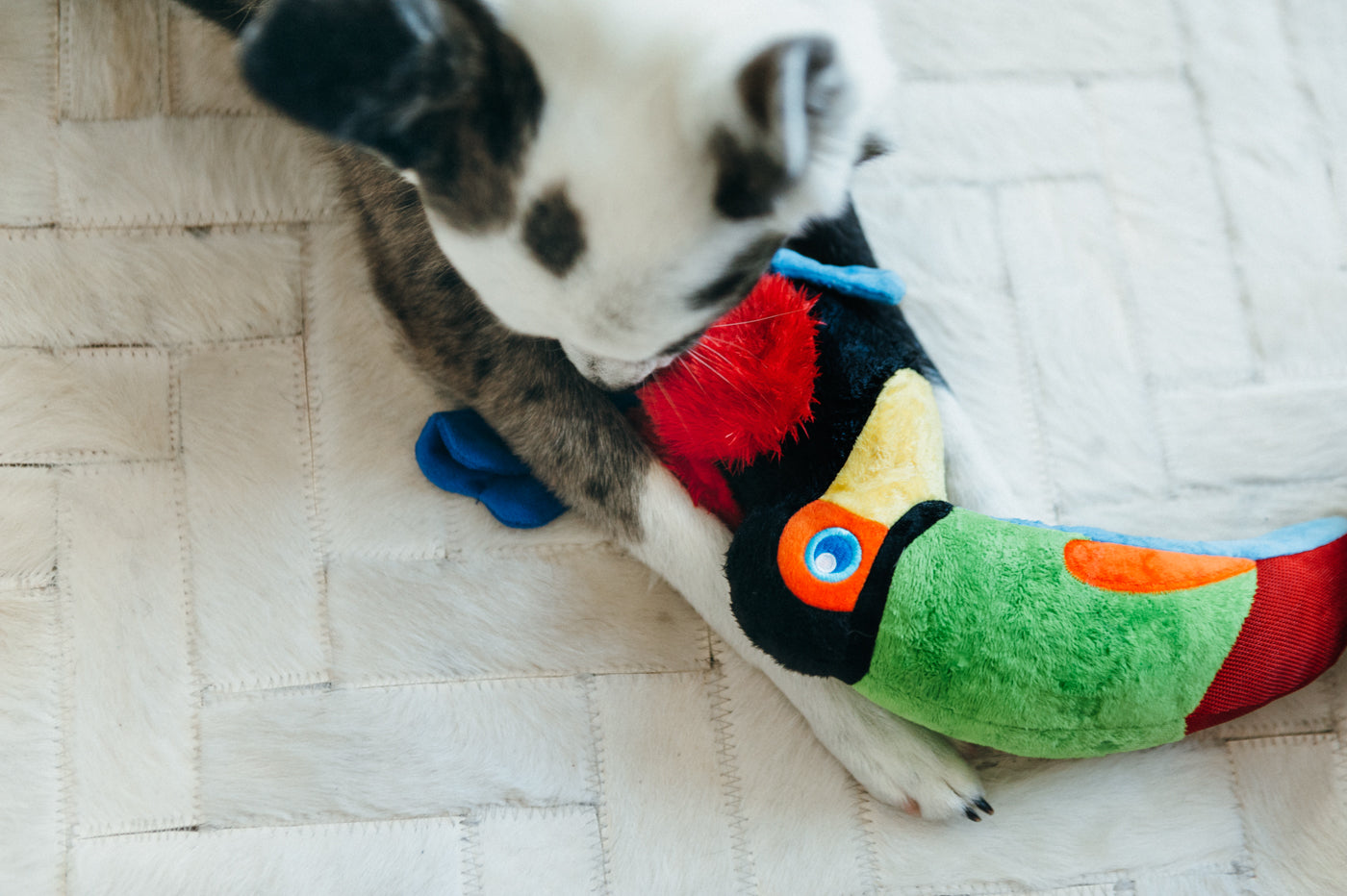 Tito the Toucan Plush Dog Toy - Fetching Flock™ Collection by Pet P.L.A.Y. | Durable & Soft Chew Toy for Small & Medium Dogs | Perfect for Fetch, Cuddling & Interactive Playtime