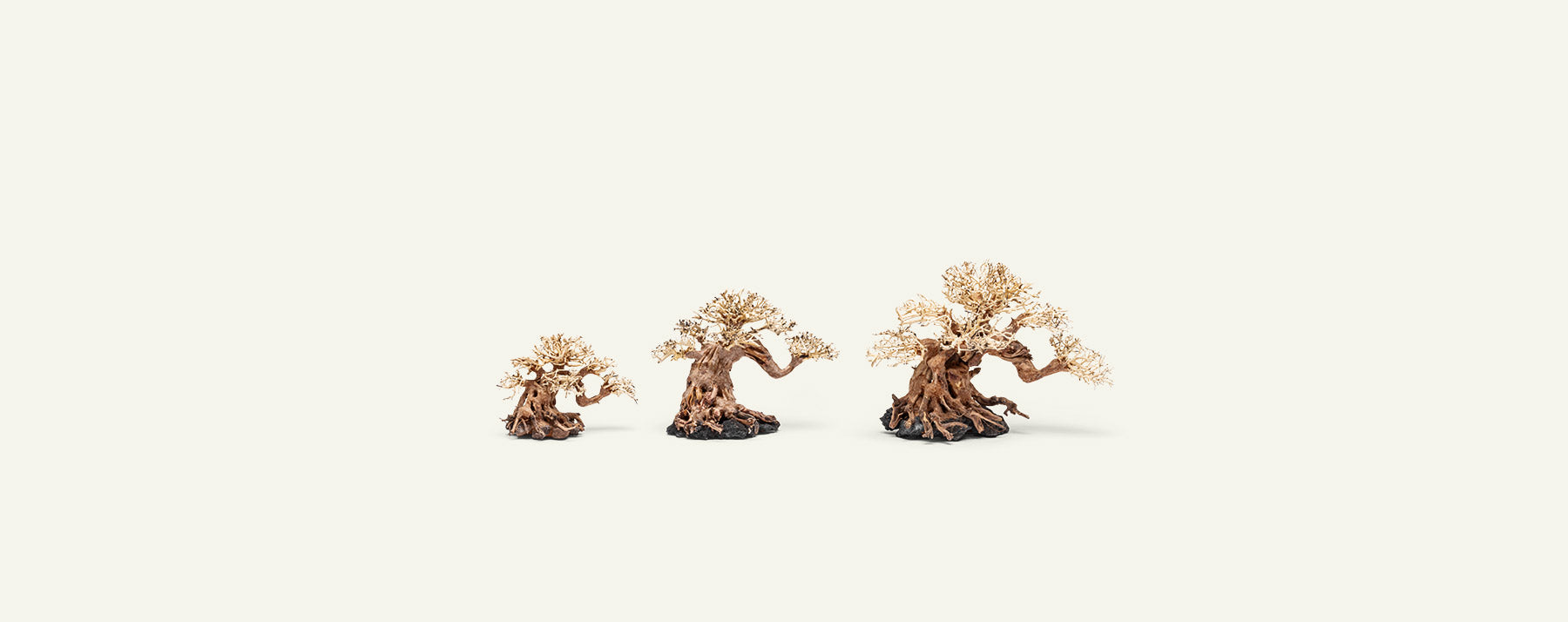 Premium Uns Bonsai 014 - Miniature Bonsai Tree for Home & Office Decor, Zen Garden, Gift Idea