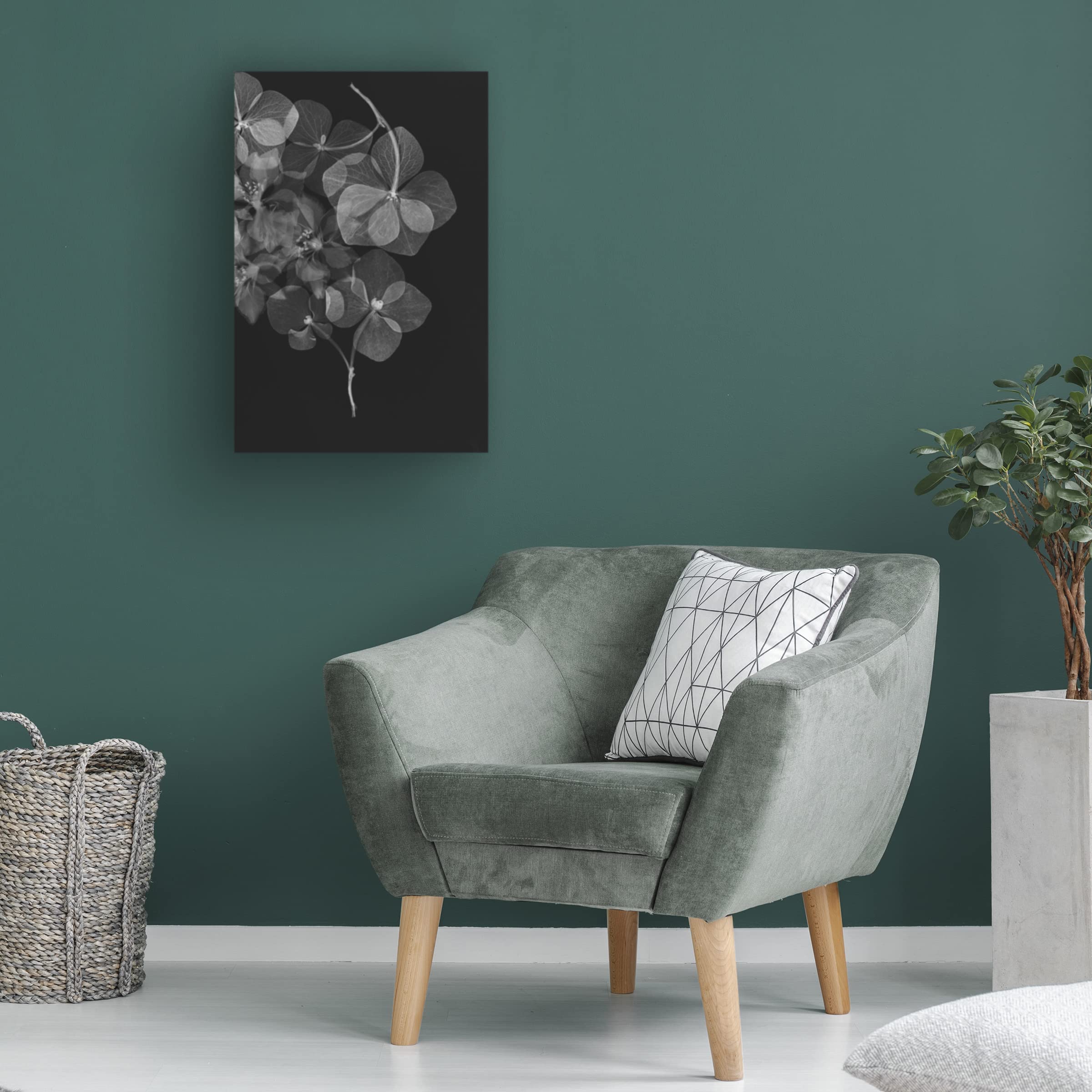 Trademark Fine Art 'Botanical 25' Canvas Wall Art Print by Lenka - Floral Home Decor for Living Room, Bedroom & Office