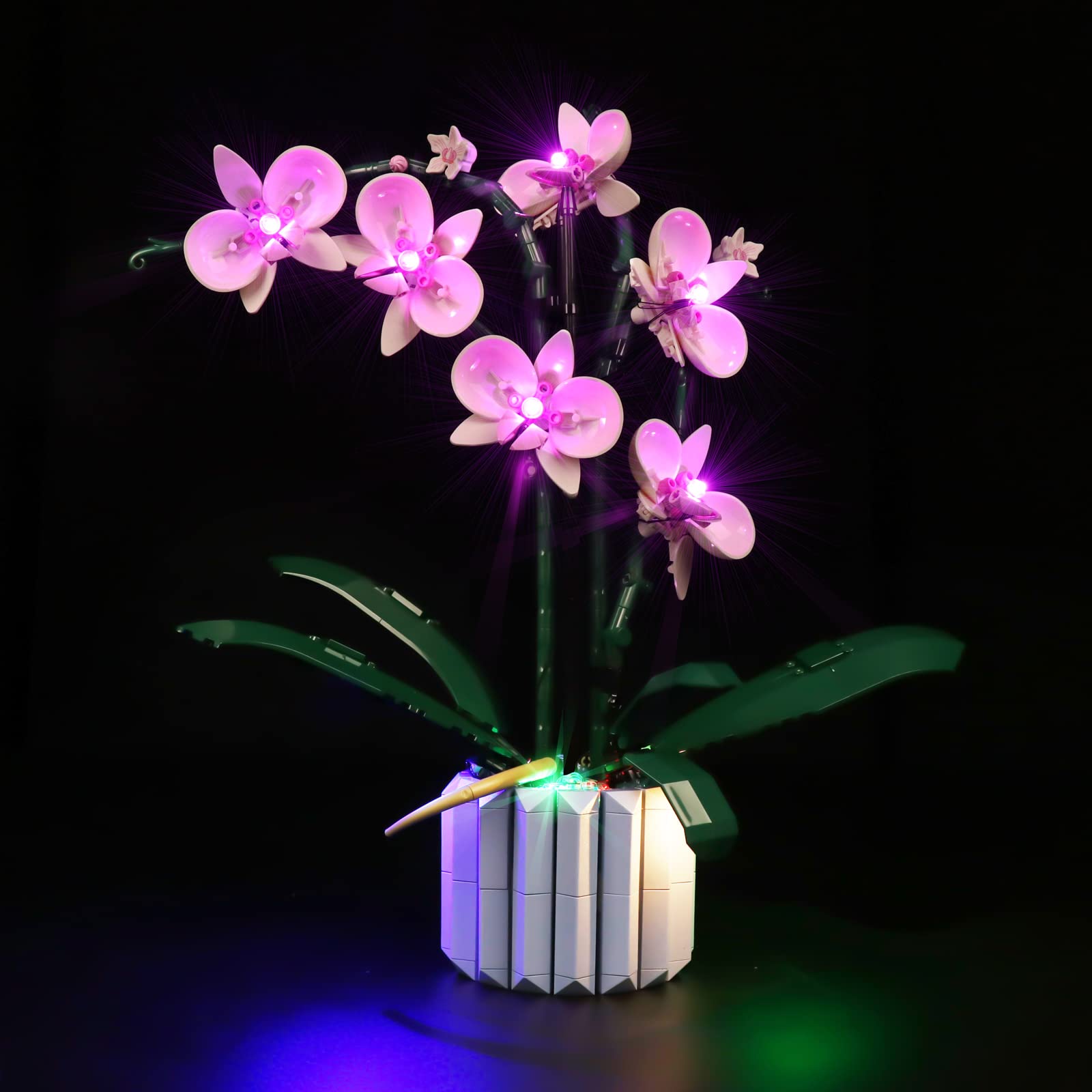 LED Light Kit for Lego Orchid 10311 - Compatible Lighting Set for Lego Flower Building Model (Lights Only) - Perfect for Home Decor, Gift Ideas & Lego Display Enhancement