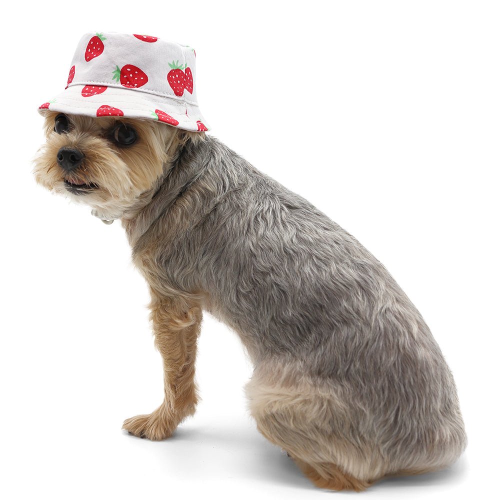 Strawberry Print Bucket Hat for Women & Men - Summer Sun Hat for Beach, Outdoor, and Fashion