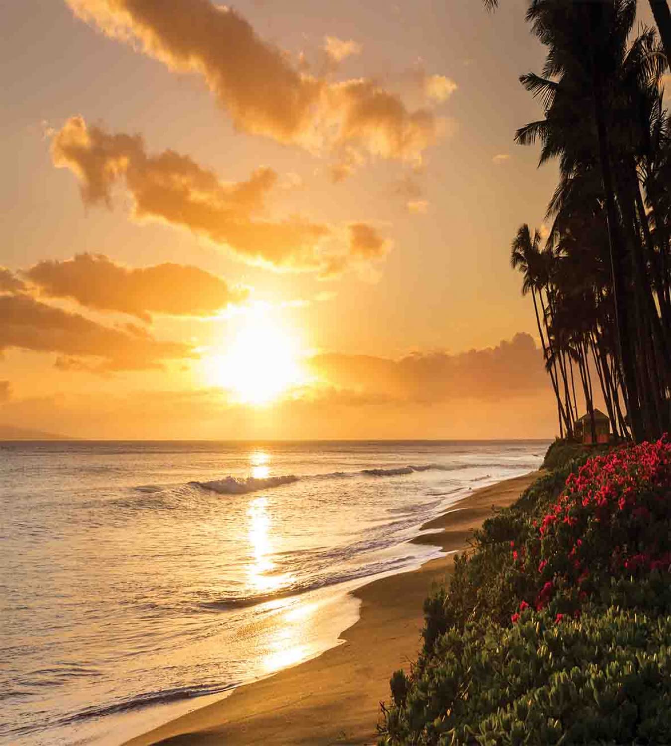 Ambesonne Hawaiian Duvet Cover Set - Tropical Sunset on Kaanapali Beach Maui, 2-Pack King Size Bedding Set with 2 Duvet Covers & 4 Pillowcases, Orange Green Pink Design - Perfect for Beach Themed Bedrooms, Vacation Homes & Tropical Decor
