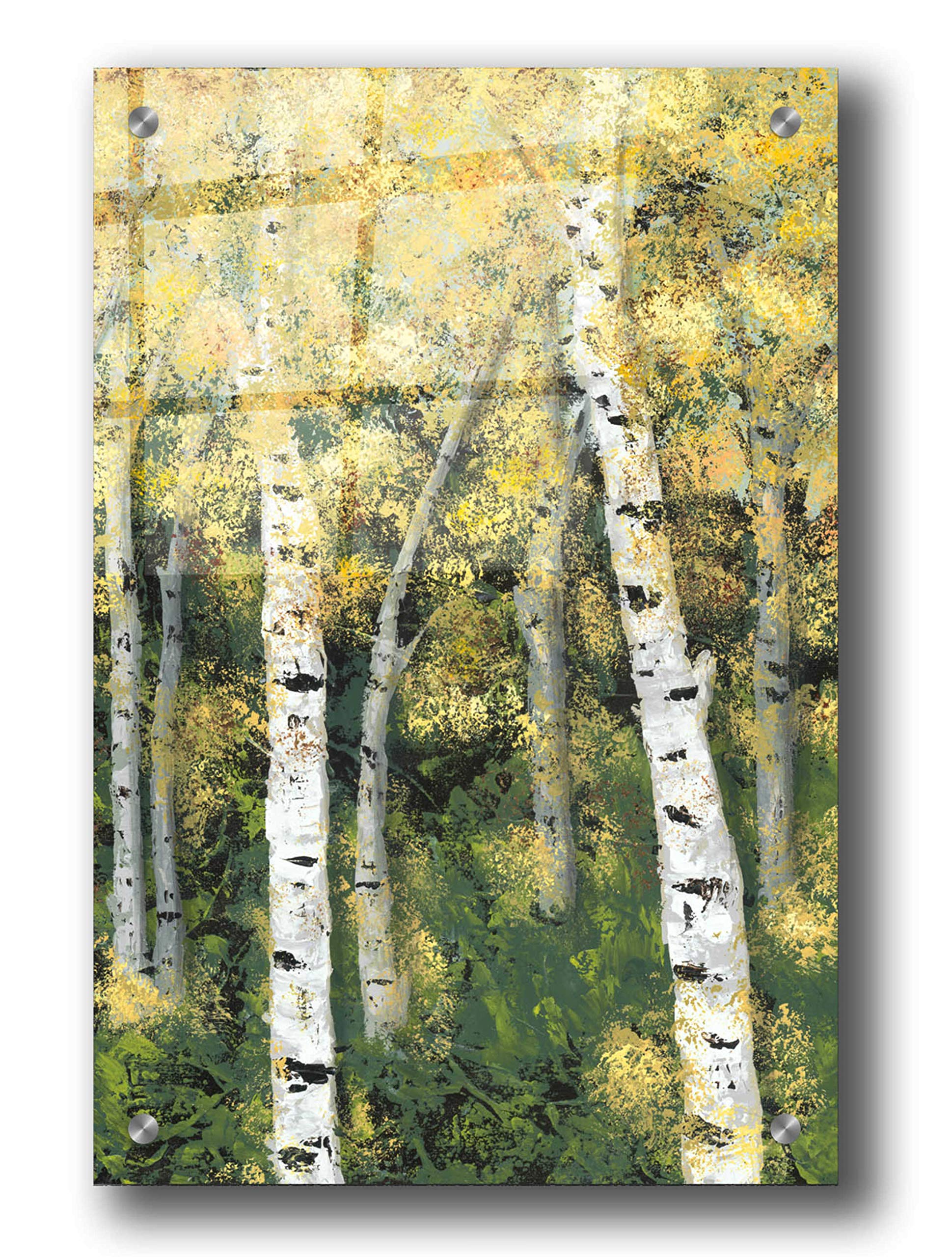Epic Art 'Birch Treeline III' by Jade Reynolds - 24x36 Inch Acrylic Glass Wall Art Painting - Modern Home Decor for Living Room, Bedroom & Office
