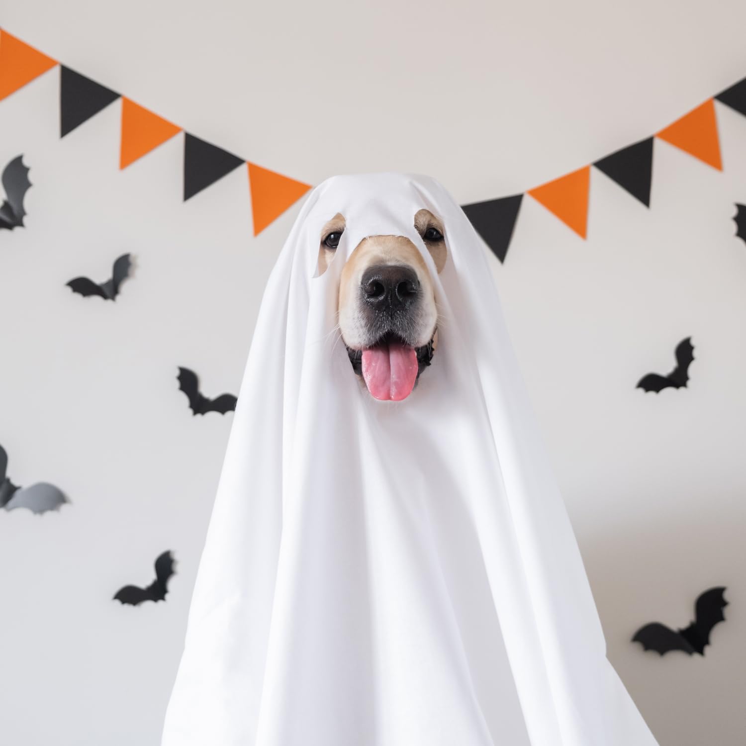 Halloween Ghost Dog Costume - White Pet Ghost Costume for Dogs & Cats - 27.5 x 39.3 inches (70x100cm) - Perfect for Trick or Treat, Halloween Parties & Pet Cosplay Fun