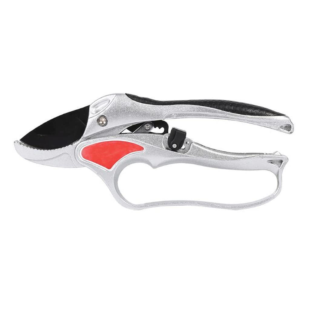 Premium Garden Scissors - 1 Pack Sharp Bonsai Pruning Shears for Fruit Trees, Plants & Gardening | Ergonomic Grafting Tool & Portable Secateurs for Home Garden, Landscaping & Professional Use