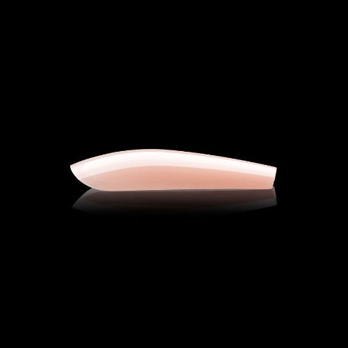 Apres Gel X Neutrals Maisie Sculpted Tips 150pc Long Coffin Nail Extensions - Natural Nude Press On Nails for Salon Quality Manicure at Home, Perfect for Weddings, Parties & Special Occasions