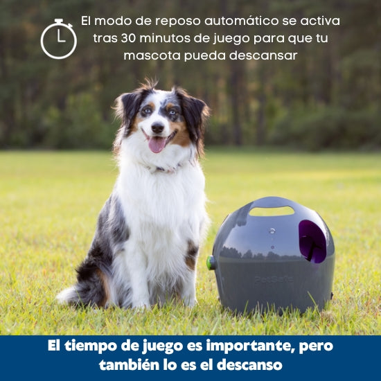 Automatic Ball Launcher for Dogs - Interactive Pet Toy with Adjustable Distance & Auto-Fetch - Perfect for Backyard Play, Training, and Exercise (English/Spanish Bilingual Packaging)