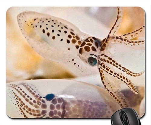 Fish Themed Gaming Mouse Pad - Non-Slip Rubber Base, Large Extended Mouse Mat for PC & Laptop - Perfect for Gamers, Office & Home Use