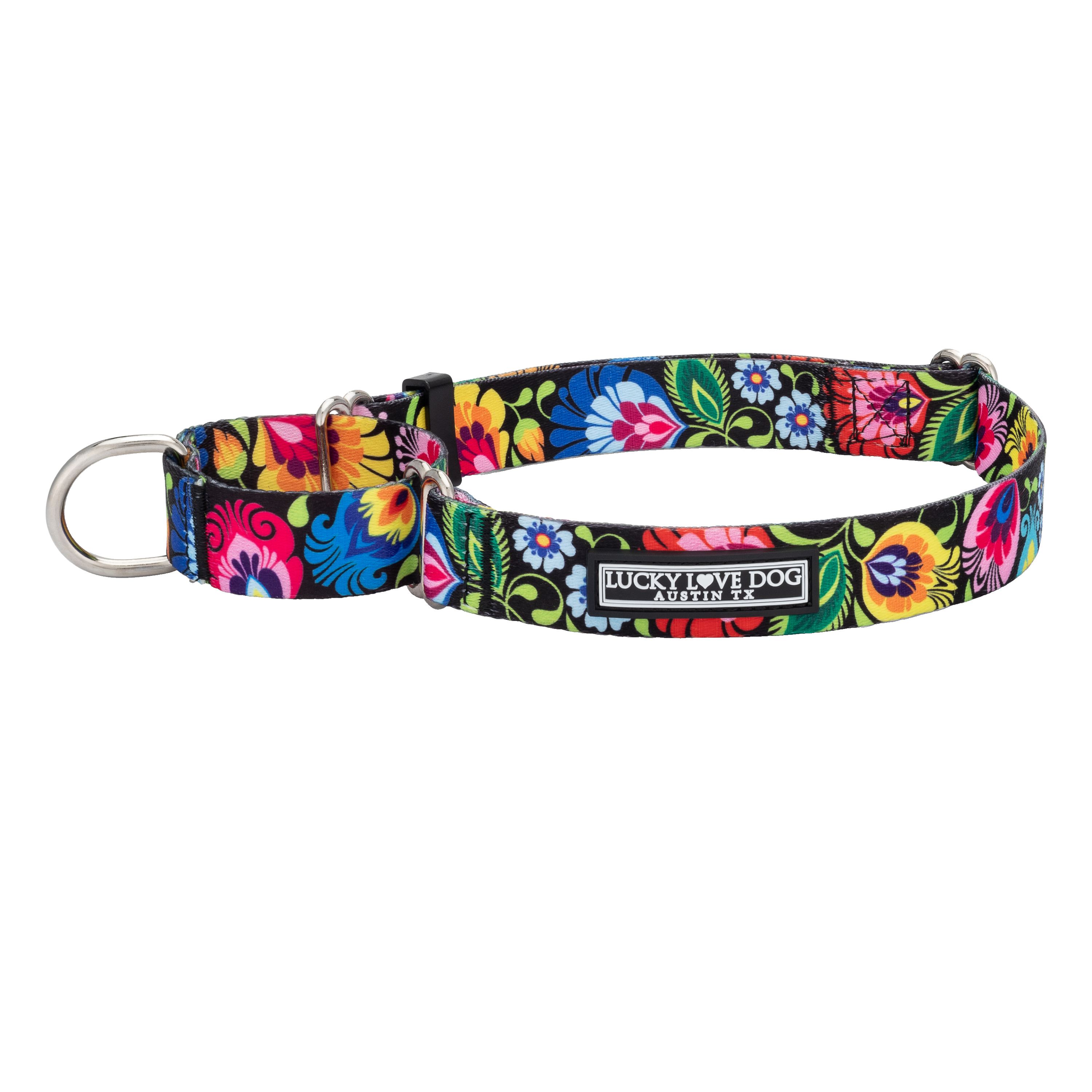 Blackbird Martingale Dog Collar - Adjustable Training Collar for Small & Medium Dogs - Perfect for Walking, Training & Outdoor Adventures