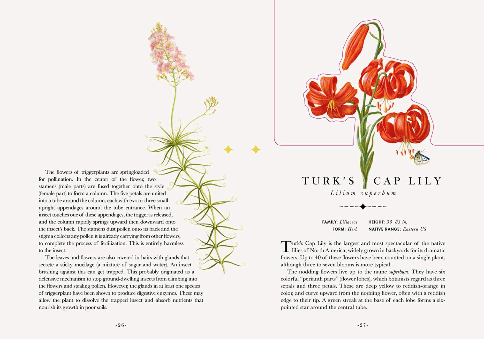 Paperscapes: The Flower Garden - Beautiful 3D Floral Pop-Up Book for Adults & Kids | Perfect for Home Decor, Gifts, and Relaxation