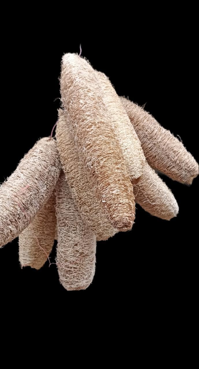 100% Natural Loofah Body Scrubber by Watika Craft - Pure Organic Exfoliator for Soft Skin (Pack of 5) | Perfect for Shower, Bath & Spa Day Self-Care Routine