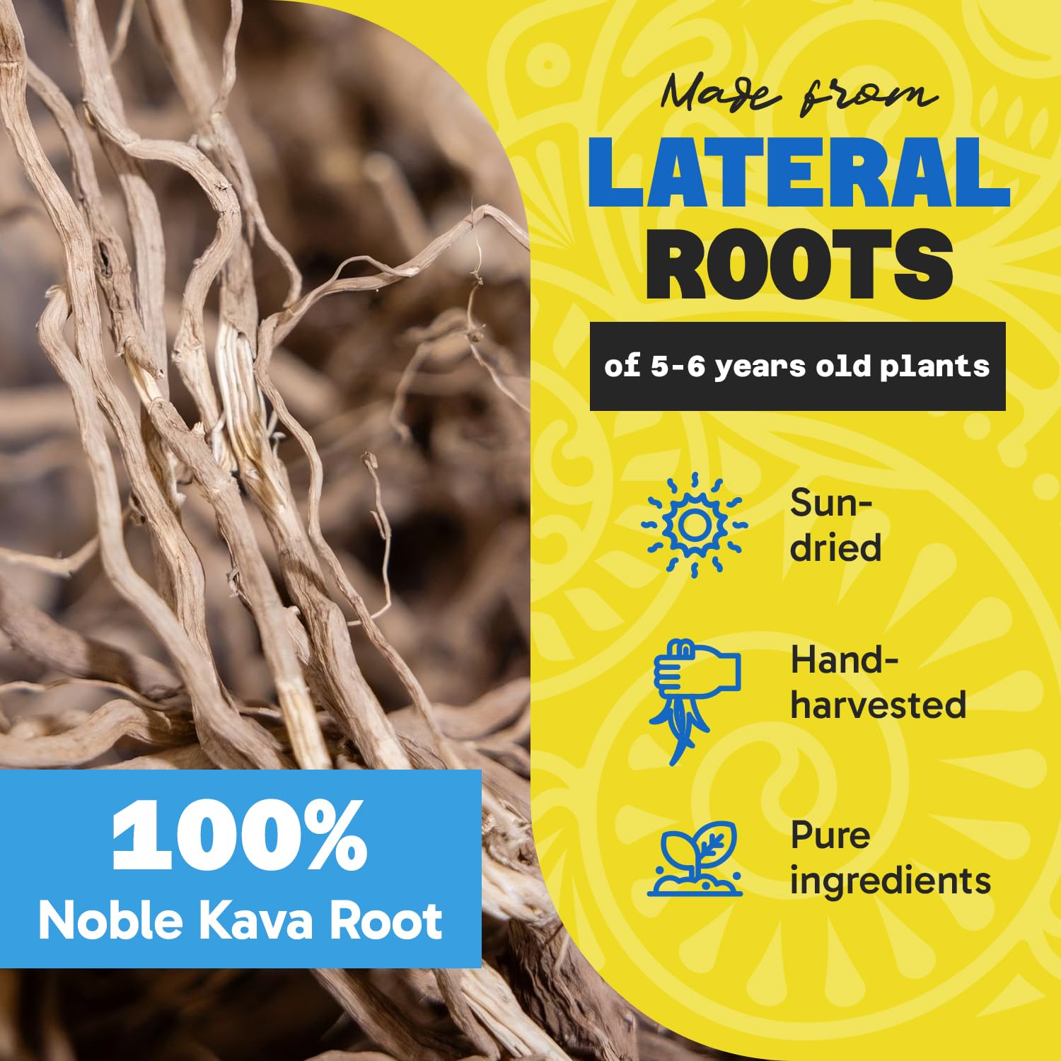 Premium Noble Kava Root Powder - Pure Sun-Dried Lateral Roots, High Kavalactones Content, Medium Grind for Easy Preparation (16oz/1lb) - Relaxation & Stress Relief, Traditional Ceremonial Drink, Natural Sleep Aid