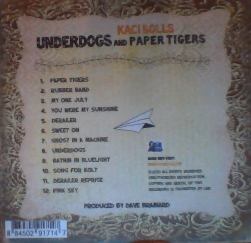 Underdogs vs Paper Tigers - Inspirational Motivational Book for Overcoming Challenges | Perfect for Self-Help, Leadership Development & Personal Growth