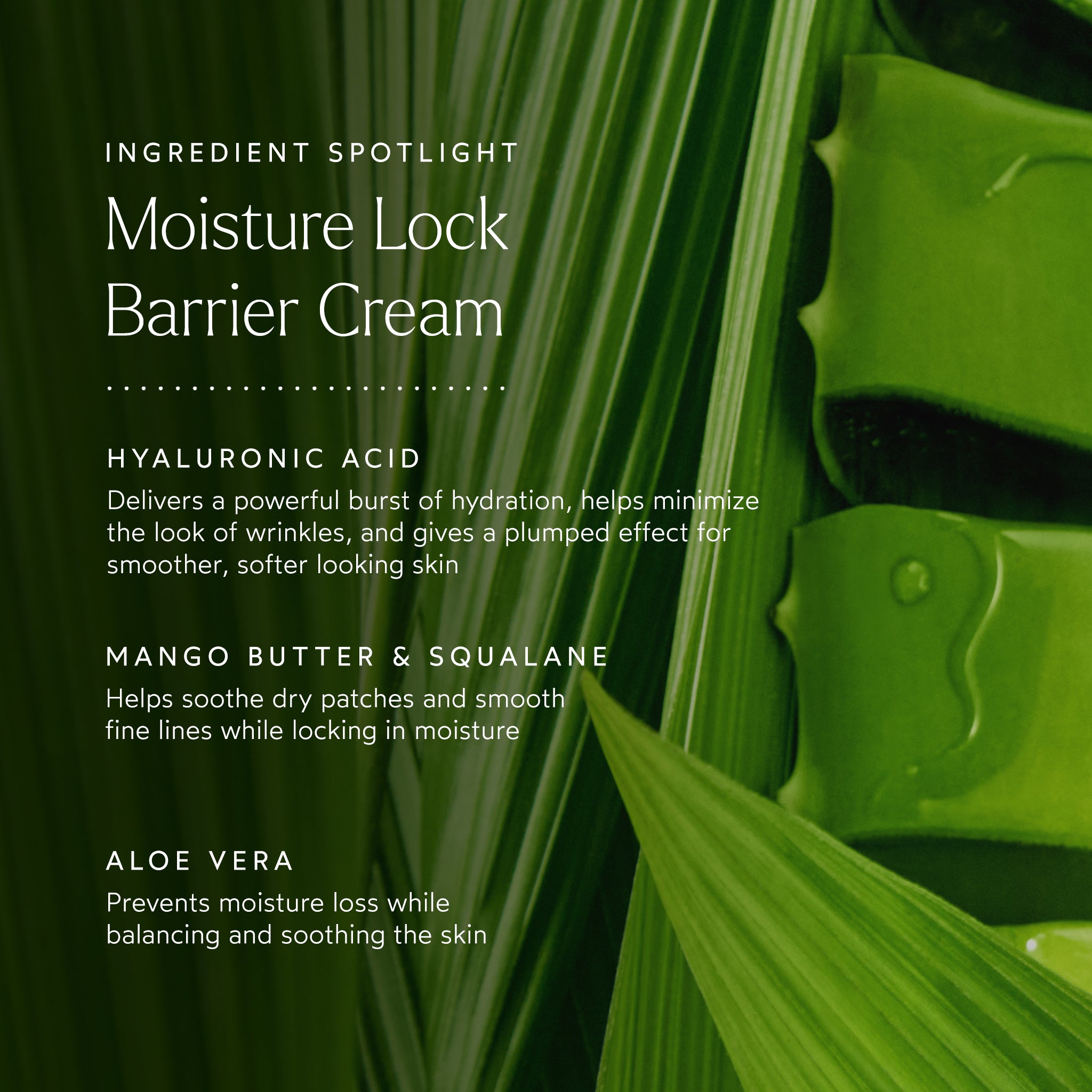 Moisture Lock Overnight Mask for Deep Hydration - Nighttime Face Cream for Dry Skin | Perfect for Winter Skincare & Post-Travel Recovery
