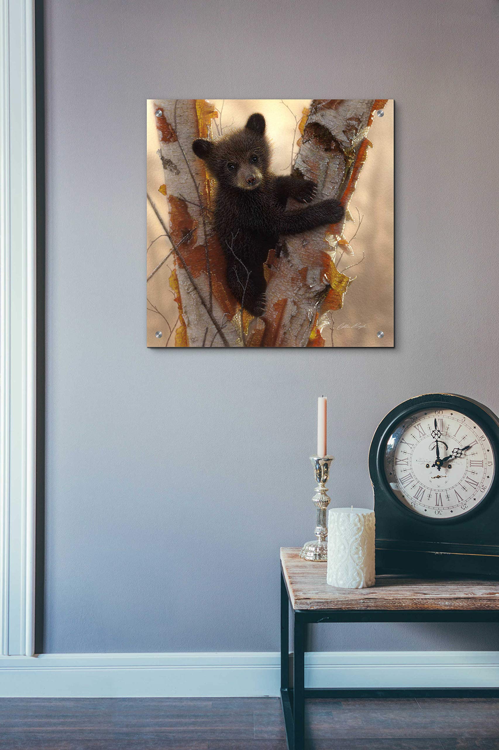 Curious Cub I by Collin Bogle - 24x24 Inch Acrylic Glass Wall Art Print, Wildlife Bear Cub Painting for Home & Office Decor, Perfect Gift for Nature Lovers