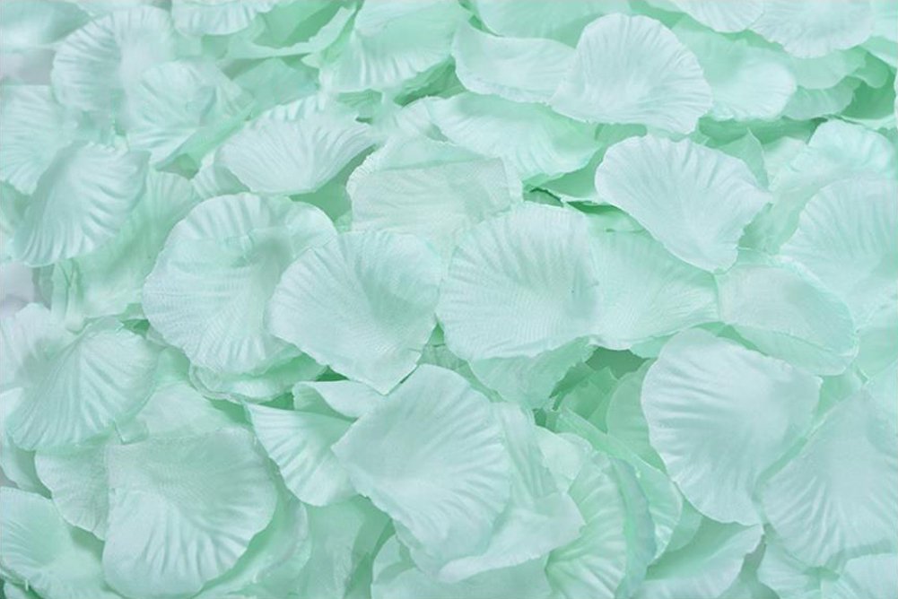 1000 PCS Artificial Silk Rose Petals - Realistic Fake Flower Petals for Wedding Decorations, Romantic Proposals, Anniversary Celebrations & Home Decoration