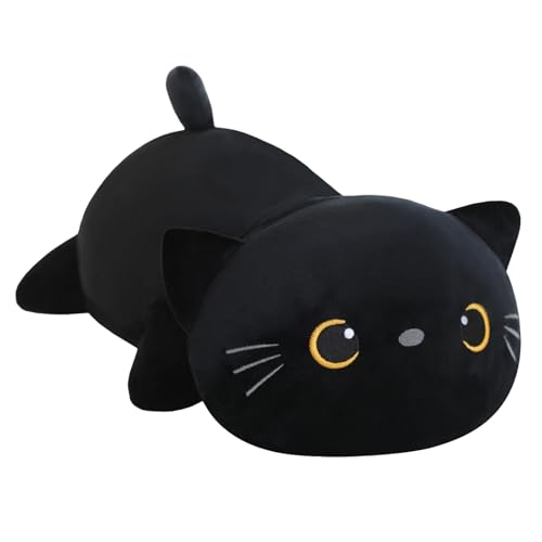Black Cat