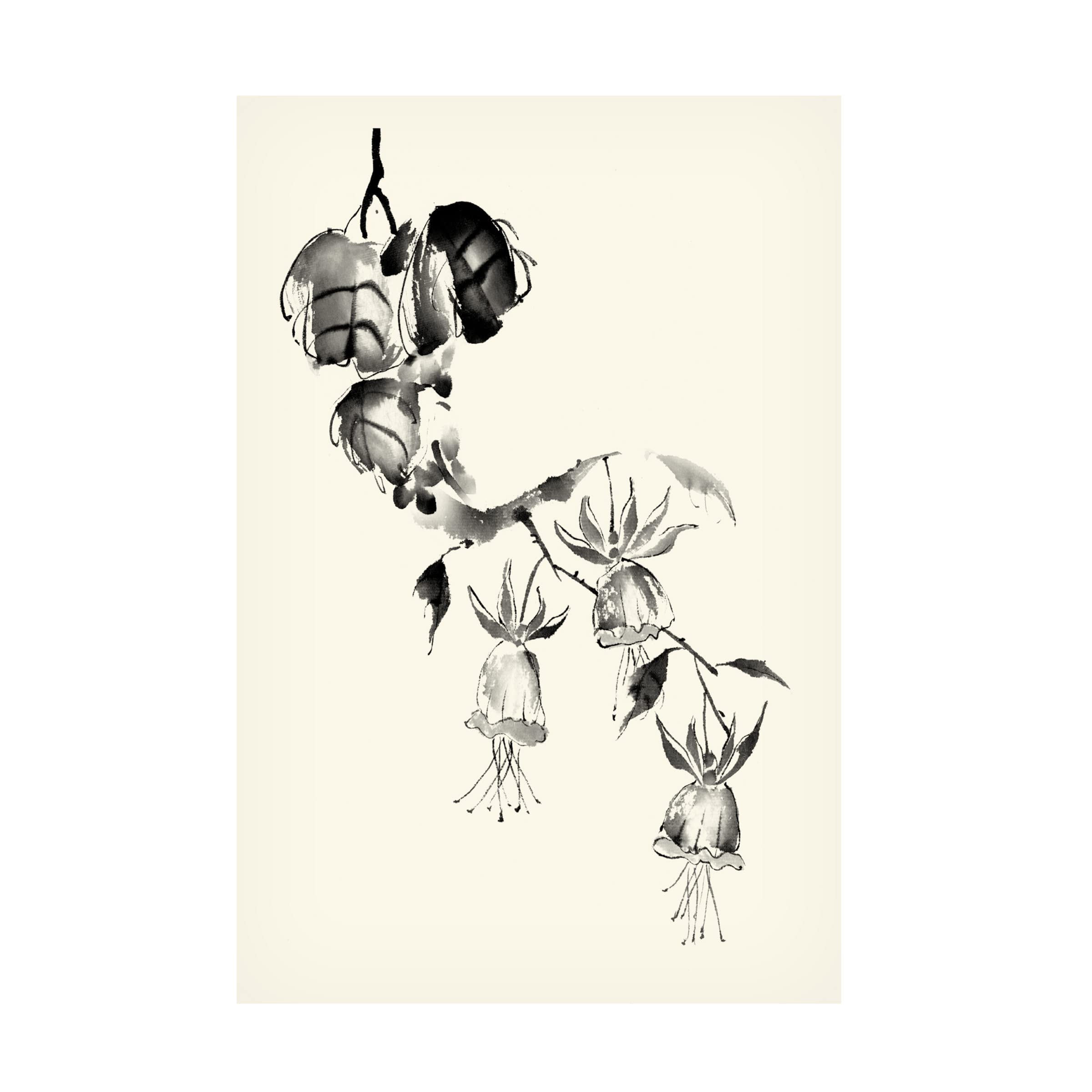 Trademark Fine Art 'Ink Wash Floral VIII Fuchsia' Canvas Wall Art by Nan Rae - Hand-Painted Floral Painting for Living Room, Bedroom & Office Decor