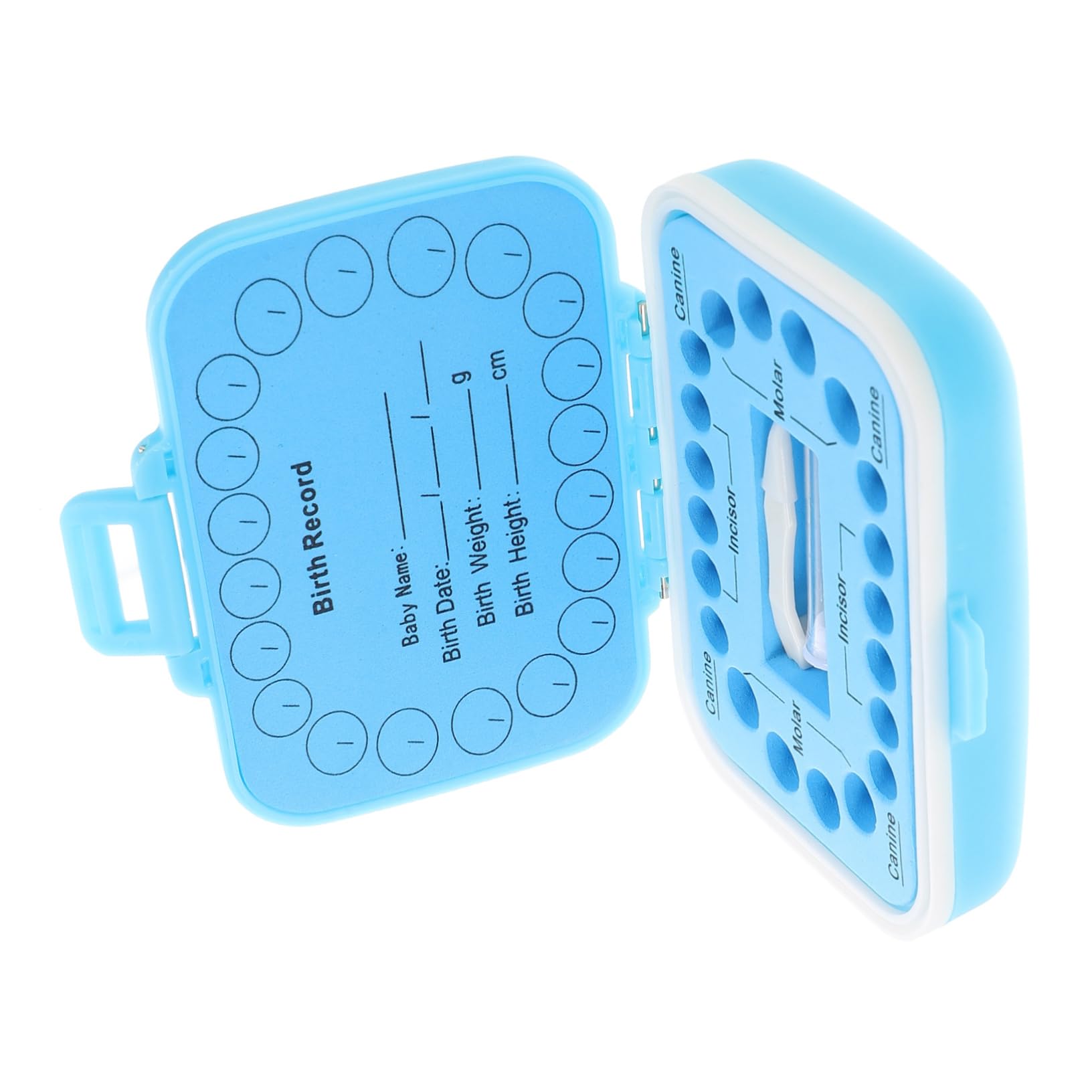 Toyvian Plastic Blue Tooth Storage Box with Box Teeth - Organize & Store Baby Teeth, Dental Collections - Perfect for Keepsakes, Dentist Visits & Memory Preservation