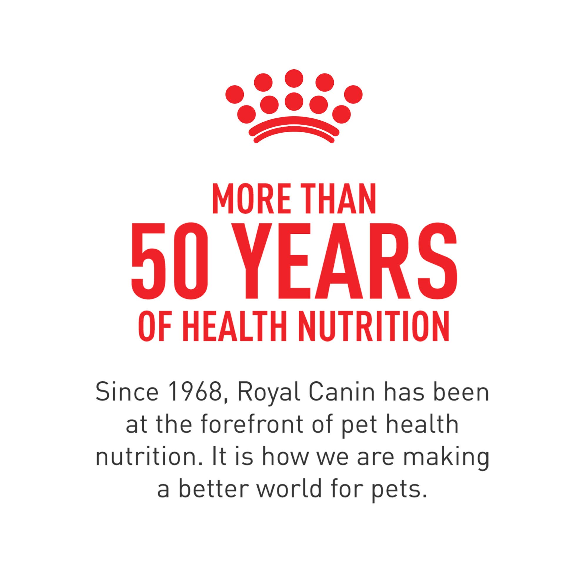 Royal Canin Miniature Schnauzer Adult Dry Dog Food - Breed Specific Nutrition for Small Dogs, 10 lb Bag - Perfect for Adult Schnauzers' Digestive Health & Coat Care