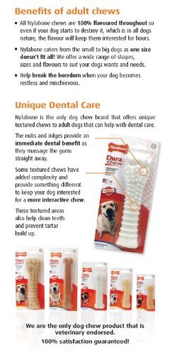 Nylabone Dura Chew Souper Chicken Flavored Dog Chew Toys (3 Pack) - Long-Lasting Dental Chews for Medium & Large Dogs - Perfect for Aggressive Chewers & Teething Puppies