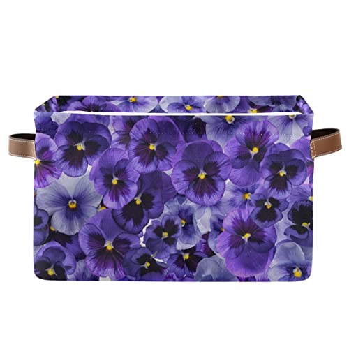 Purple Violet Flowers