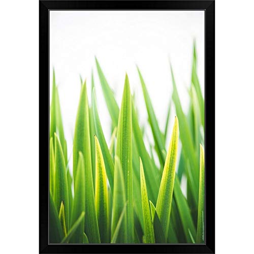 Black Frame