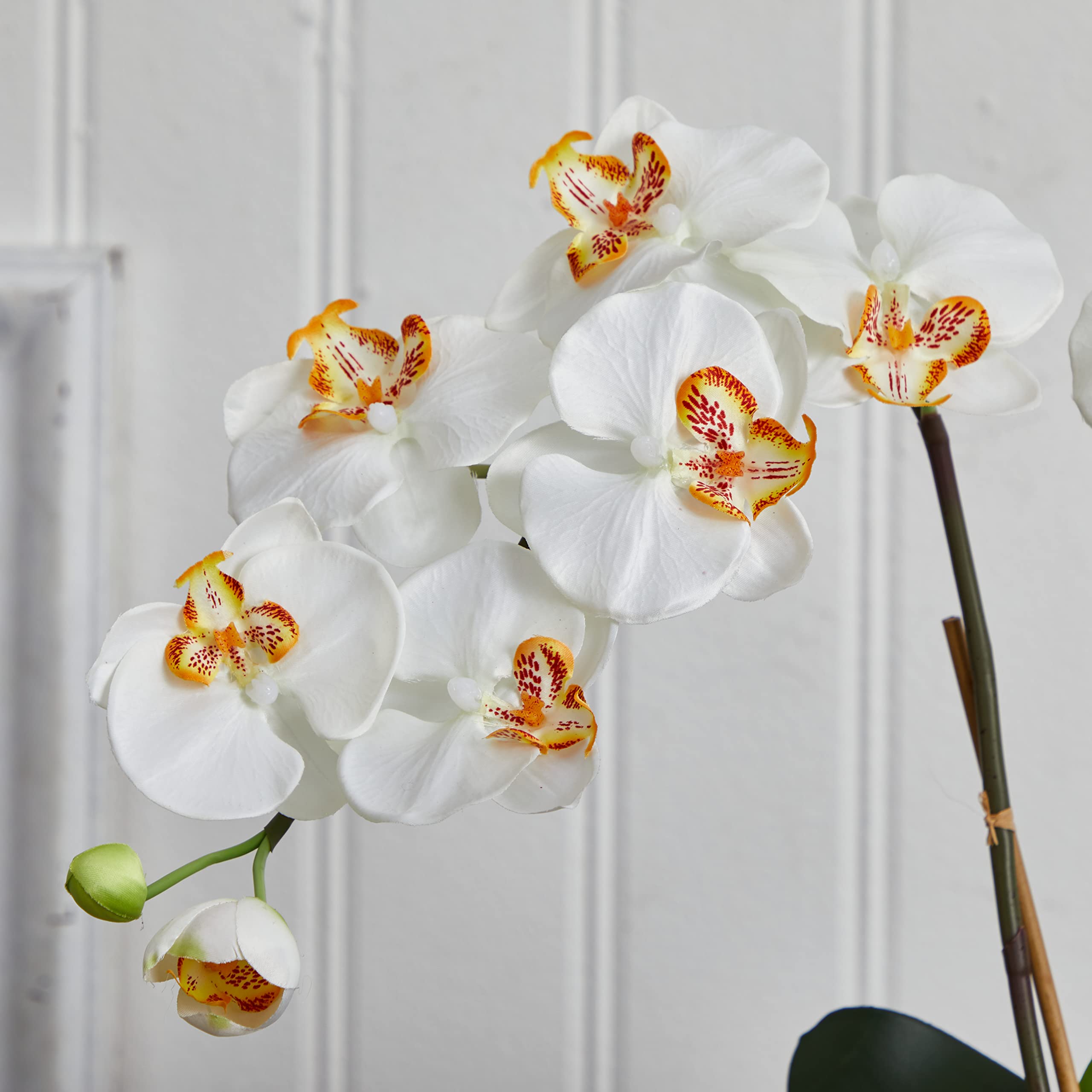 Nearly Natural Double Phalaenopsis Orchid Silk Flower Arrangement in White Vase - Elegant Home Decor for Living Room, Office & Wedding Centerpieces