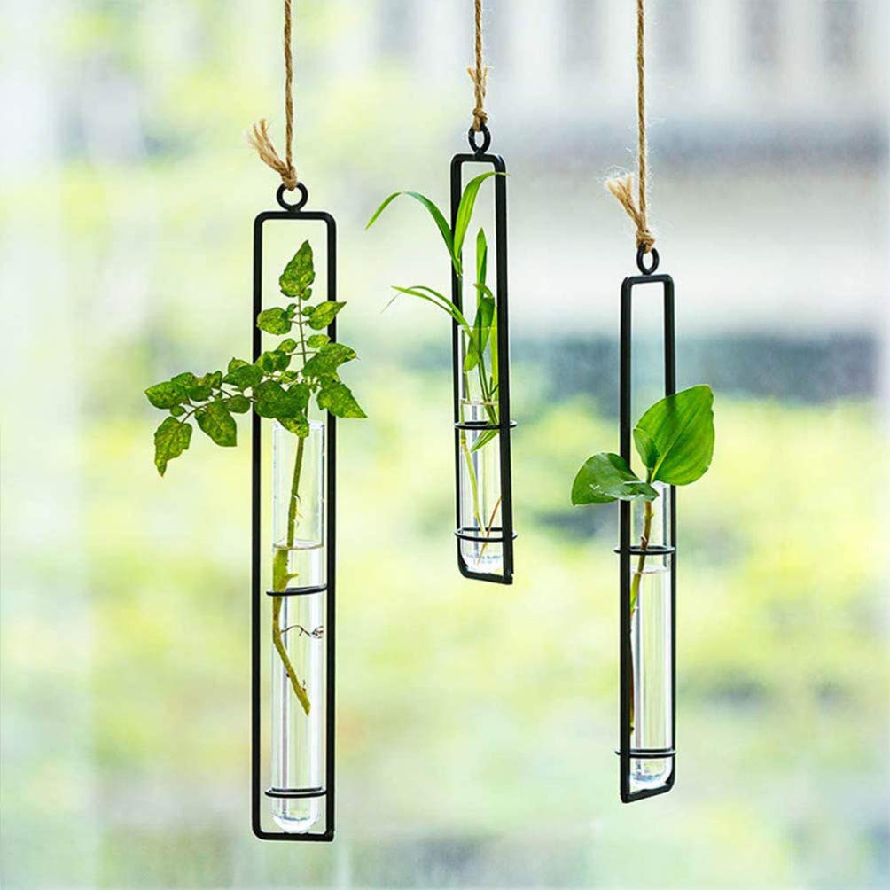 Hemoton 3-Pack Wall Mounted Glass Terrarium Vases - Clear Hanging Hydroponic Planters for Air Plants, Succulents & Flowers | Modern Home Decor for Living Room, Bedroom & Office | Includes Iron Wall-Mounted Brackets